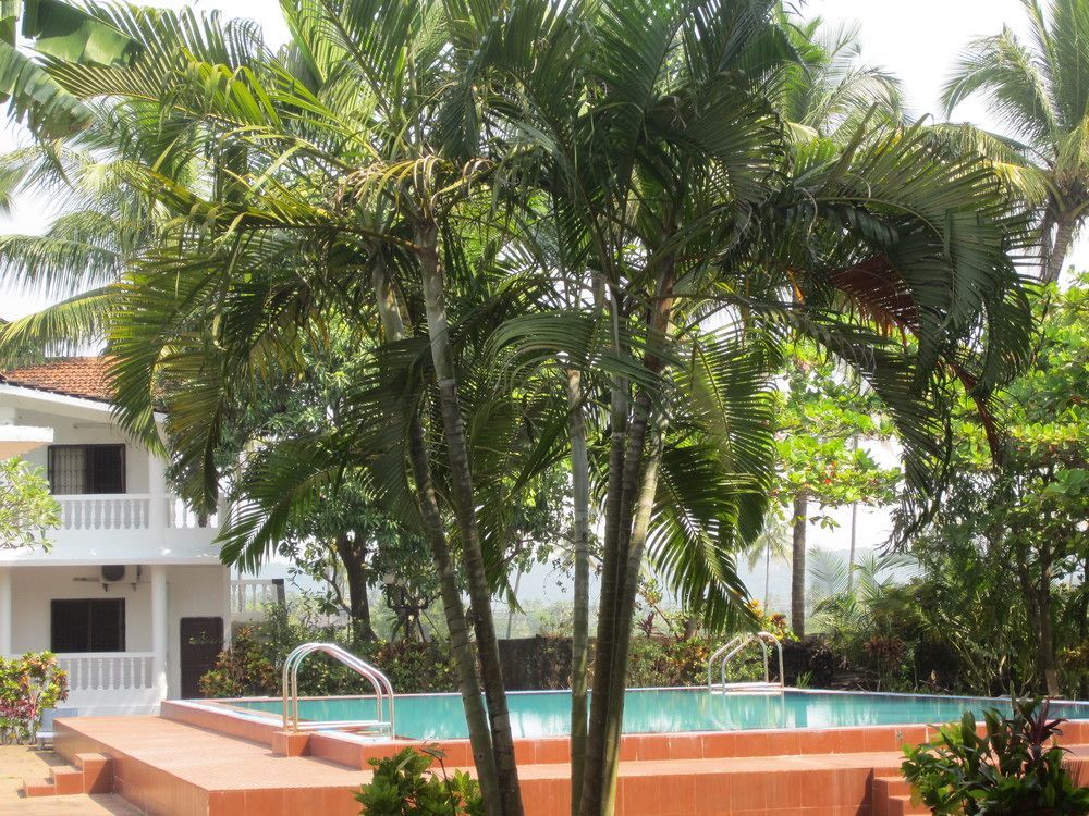 Hotel Riverside Baga Exterior photo
